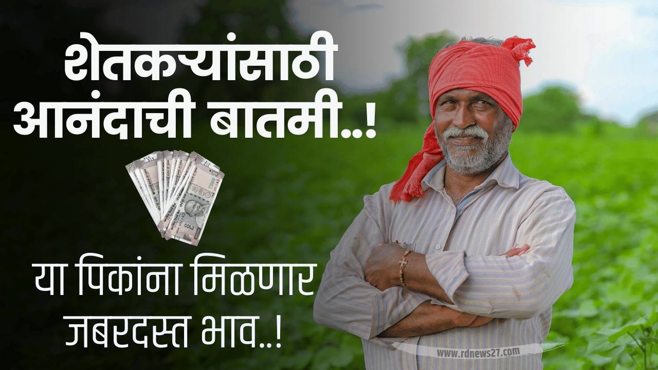 Msp price list 2024 maharashtra
